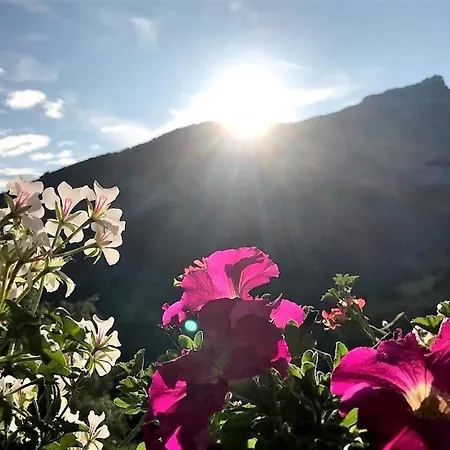 Abendstern By Interhome * 阿尔宾内