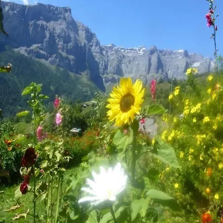 Abendstern By Interhome