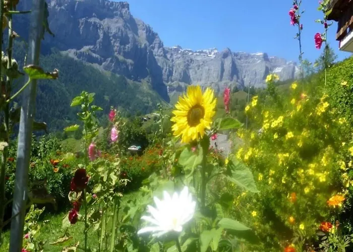 Abendstern By Interhome